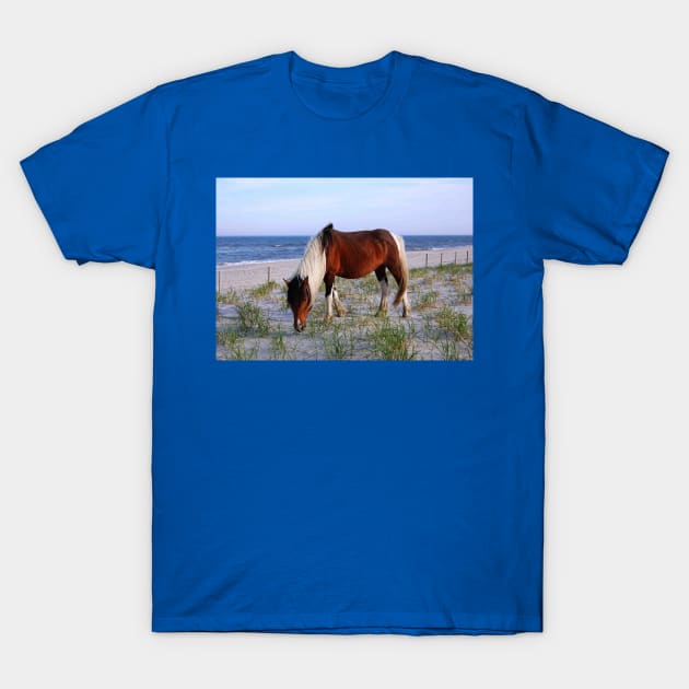 Wild horses, wildlife, gifts, Assateague, Upon the Dunes T-Shirt by sandyo2ly